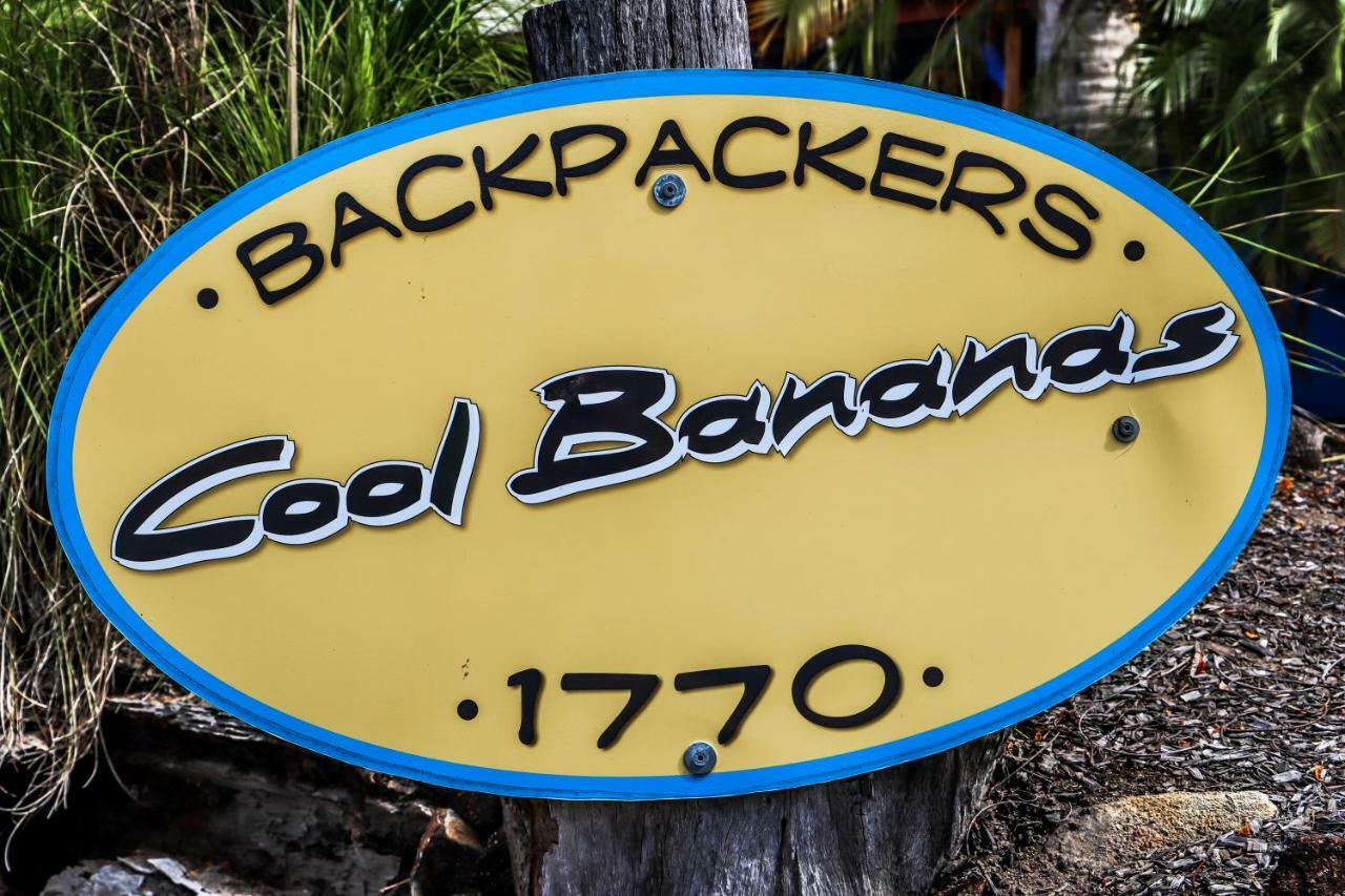 Cool Bananas Backpackers Hostel Agnes Water Exterior foto