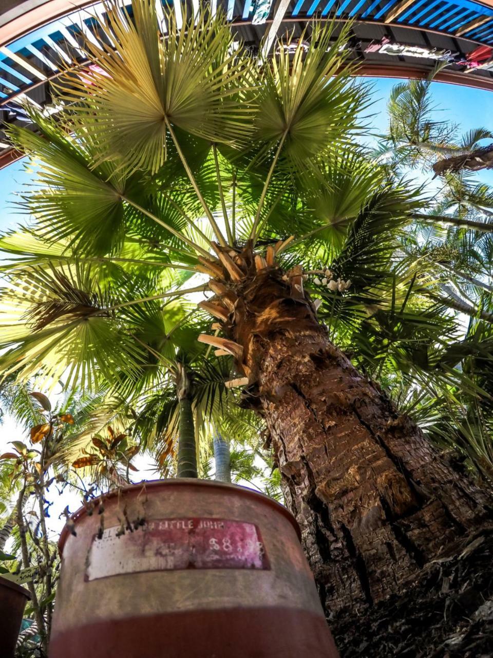 Cool Bananas Backpackers Hostel Agnes Water Exterior foto